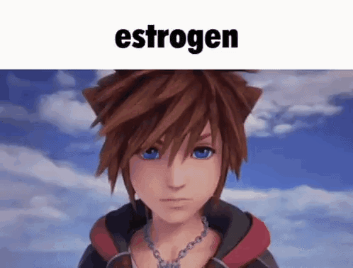 Kingdom Hearts Character With Estrogen Above Him GIF