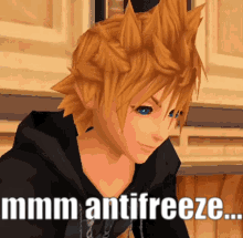 Kingdom Hearts Sora Antifreeze GIF