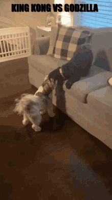 Kingkong Vs. Godzilla Dogs GIF