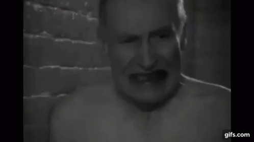 Kip Yes 498 X 280 Gif GIF