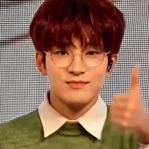 Jeon Wonwoo Seventeen Kip Yes GIF