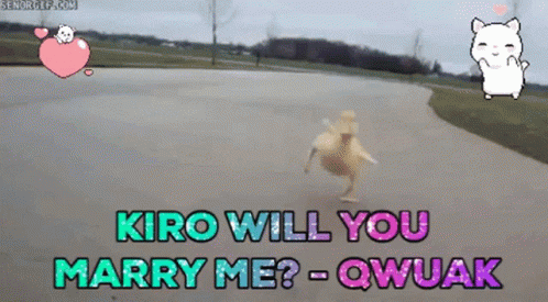 Kiro Will You Marry Me GIF