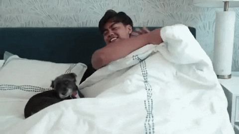 Kiss Goodnight Dog Sleep GIF