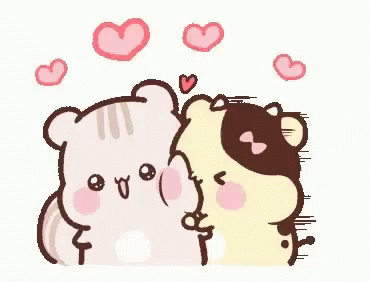 Kiss Kiss Cat GIF