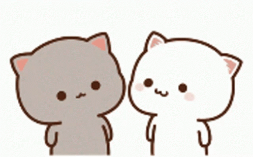 White Cat Kisses On Cheeks GIF