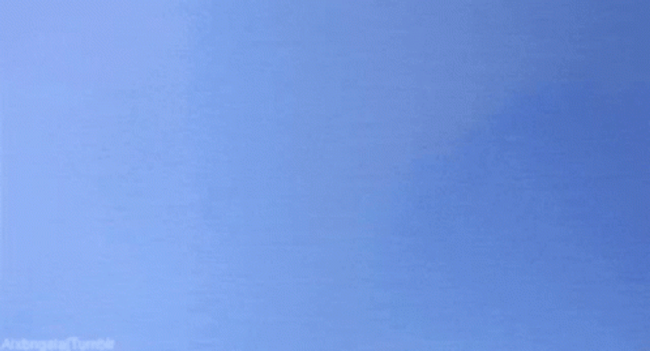 Kitten Cat Jumping On Sky GIF