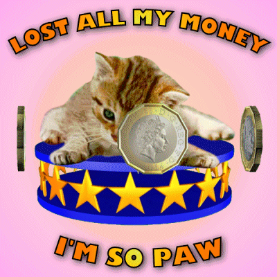 Kitten Coin Lost All Money I'm So Paw GIF
