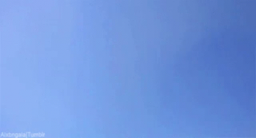 Kitten Flying On Blue Background GIF