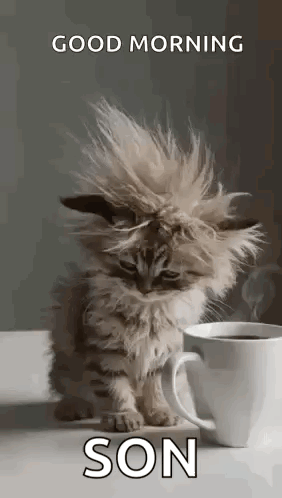 Kitten Hair Blowing in Wind Next to Coffee Cup