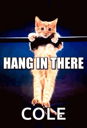 Kitten Hanging on Bar Hang in There Cole