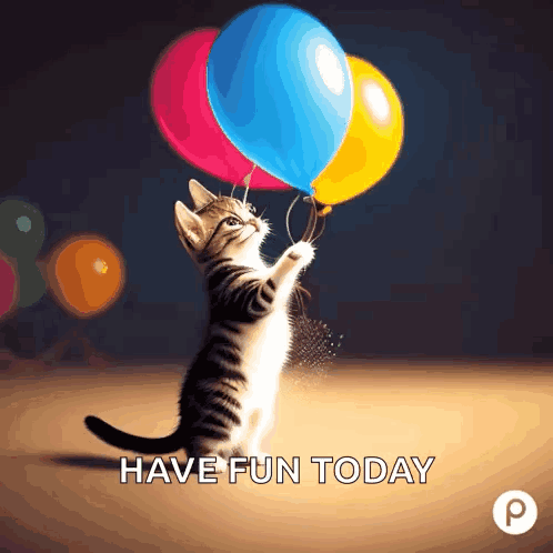 Kitten Holding Balloons Have Fun Today