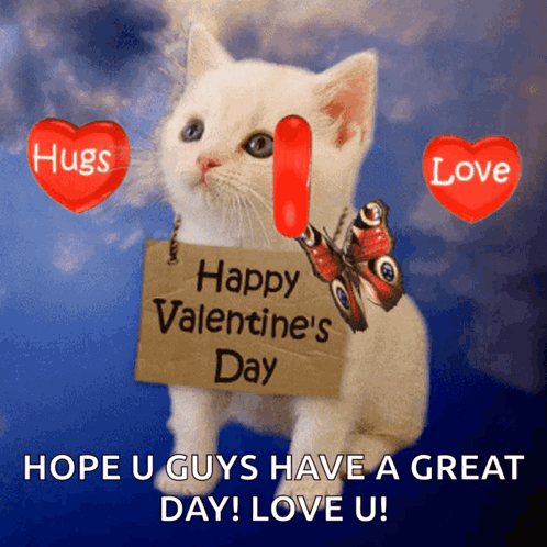 Kitten Holding Happy Valentines Day Sign