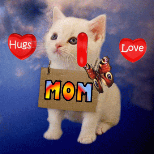 Kitten Holding Mom Sign