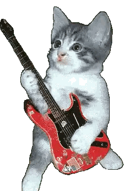 Kitten Holding Red Guitar