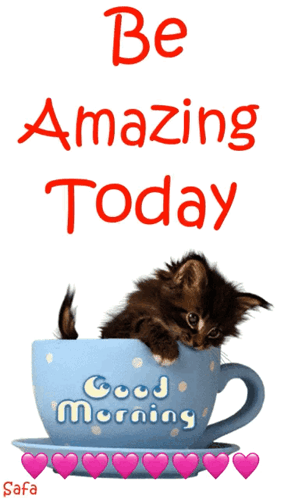 Kitten in a Cup Be Amazing Today