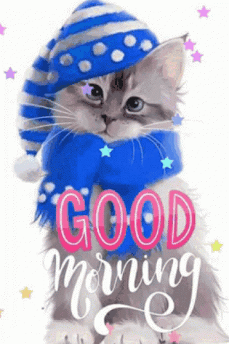 Kitten in Blue Hat and Scarf Saying Good Morning