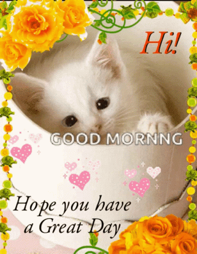 Kitten in Cup Good Morning Hope You Have a Great Day
