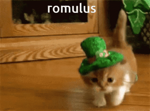 Kitten in Green Hat Romulus