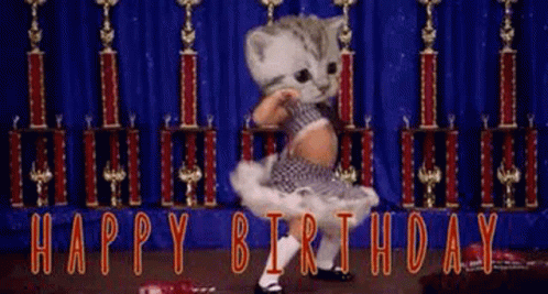 Kitten in Tutu Dancing Happy Birthday on Stage