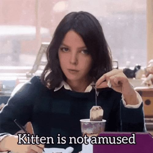 Kitten Is Not Amused GIF