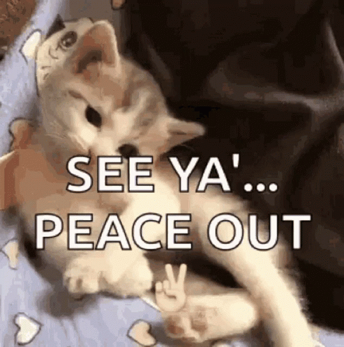 Kitten Laying on Bed See Ya Peace Out