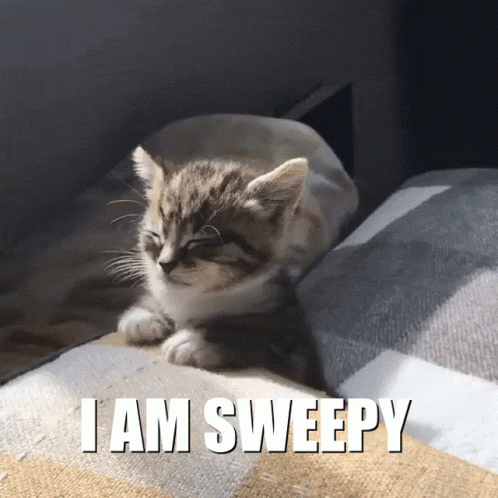 Kitten Lying on Blanket Saying I Am Sleepy