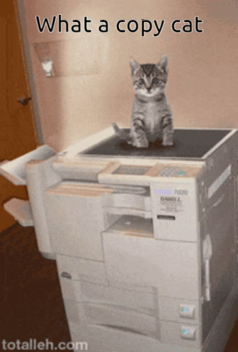 Kitten on Copier Saying What a Copy Cat