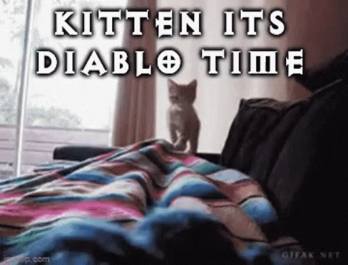 Kitten on Couch Its Diablo Time