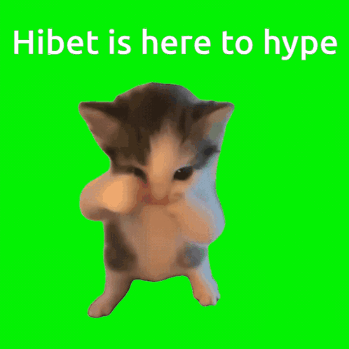 Kitten on Hind Legs Hibet Is Here to Hype