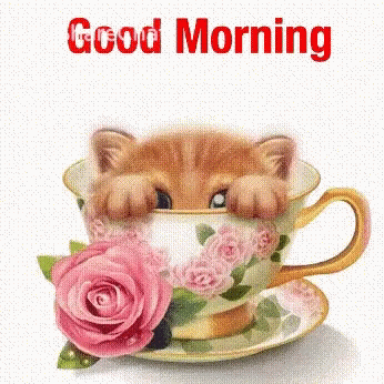 Kitten Peeking Out of Tea Cup With Roses Saying Good Morning