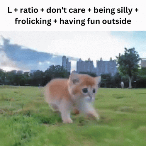 Kitten Running in Field with L + Ratio Don't Care