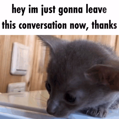 Kitten Saying Hey Im Just Gonna Leave