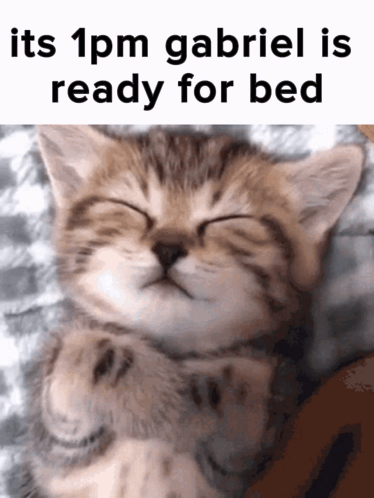 Kitten Saying Its 1pm Gabriel Ready For Bed