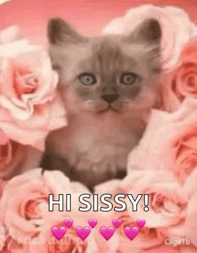 Kitten Sitting In Pink Roses And Hearts GIF