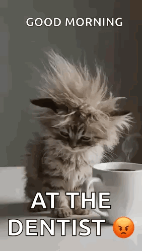 Kitten Sitting Next To Coffee And Good Morning Message GIF
