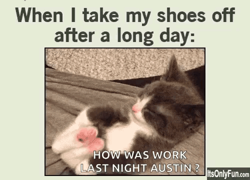 Kitten Sleeping on Bed When I Take My Shoes Off After a Long Day