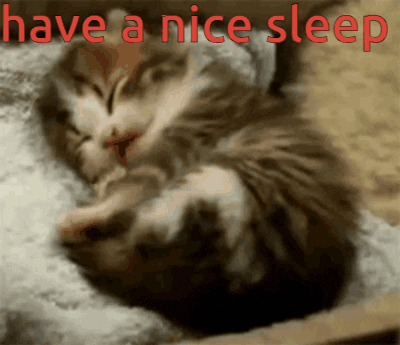 Kitten Sleeping On Pillow Have A Nice Sleep GIF