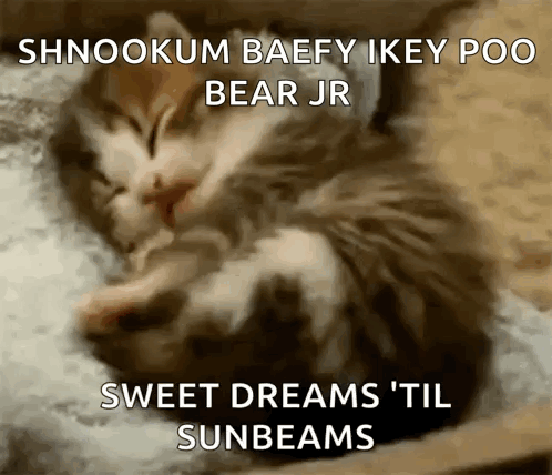 Kitten Sleeping On Pillow With Sweet Dreams GIF