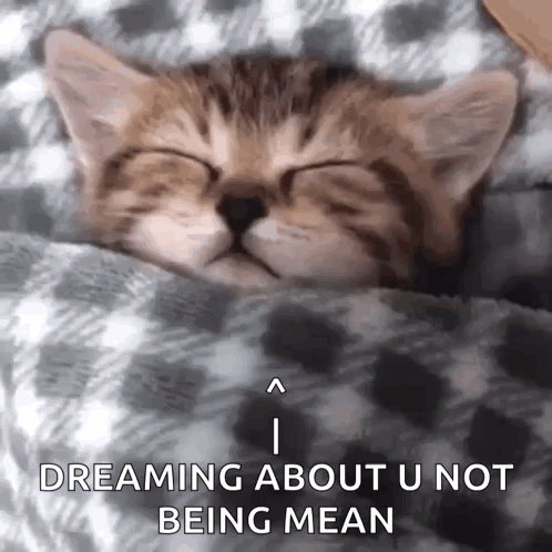 Kitten Sleeping Under Blanket Dreaming U Not Mean GIF