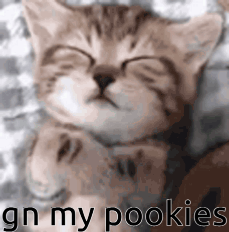 Kitten Sleeping With Gn My Pookies GIF