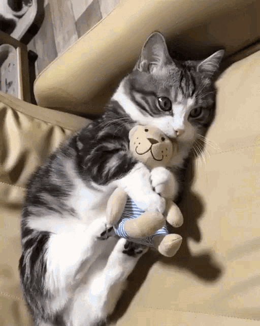 Kitten Snuggling With Its Toy GIF