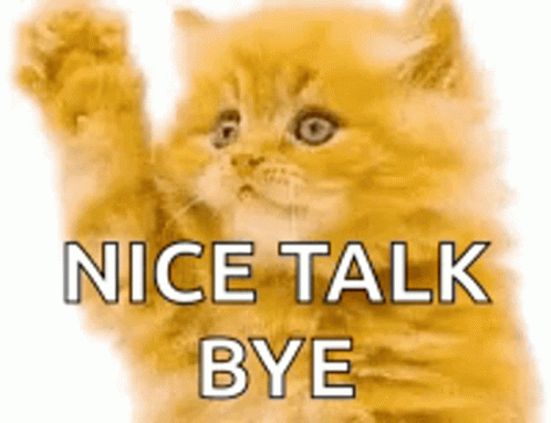 Kitten Waving Nice Talk Bye