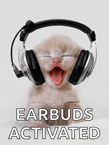 Kitten Wearing Headphones Earbuds Activated GIF