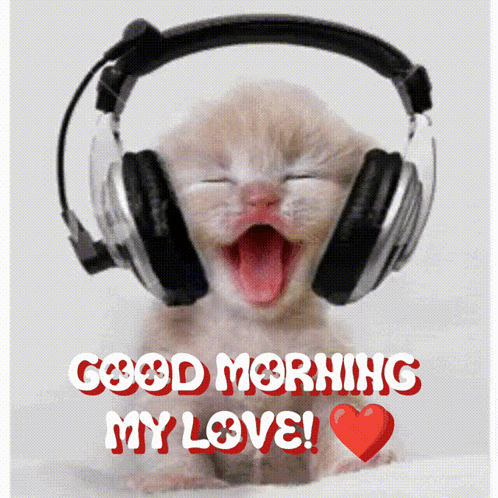 Kitten Wearing Headphones Saying Good Morning