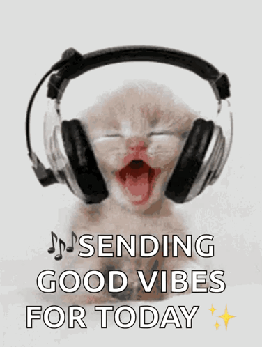 Kitten Wearing Headphones Sending Good Vibes For Today GIF
