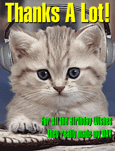 Kitten Wearing Headphones Thanks a Lot for All the Birthday Wishes