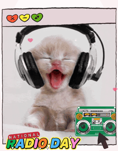 Kitten Wearing Headphones with Boombox