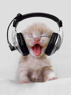Kitten Wearing Headphones With Mouth Open GIF