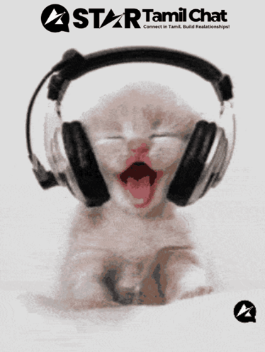 Kitten Wearing Headphones With Star Tamil Chat Logo GIF