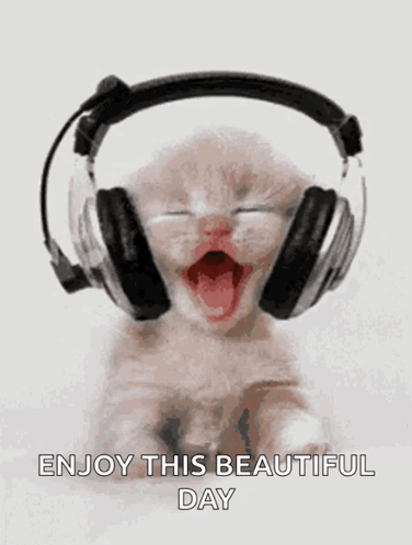 Kitten Wearing Headphones Yawning Enjoy This Beautiful Day GIF